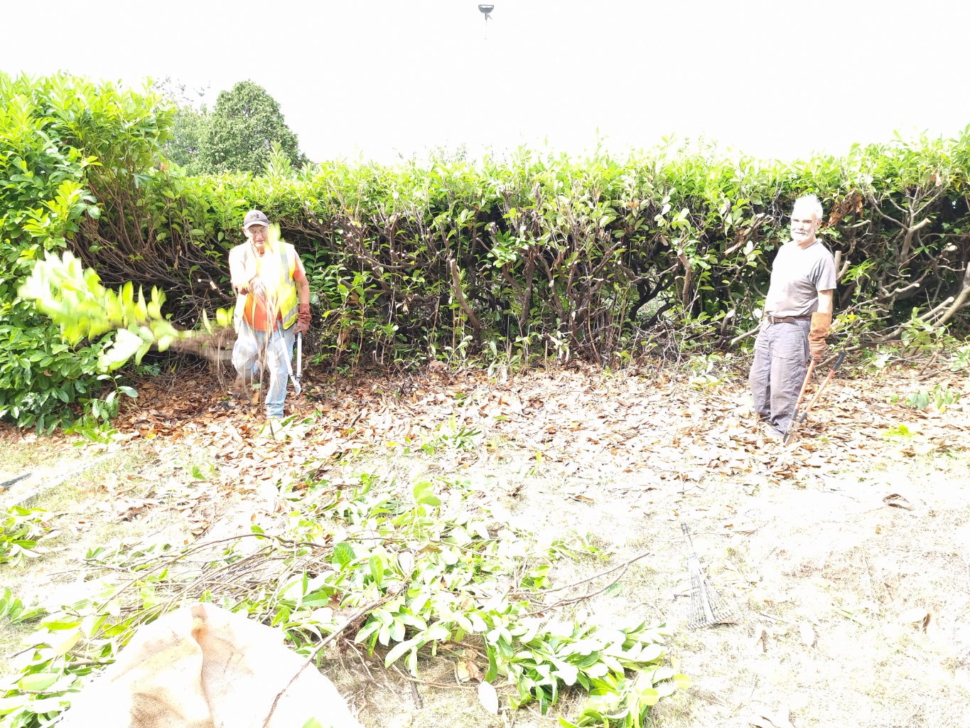Pete and Dave clearing the Laurel