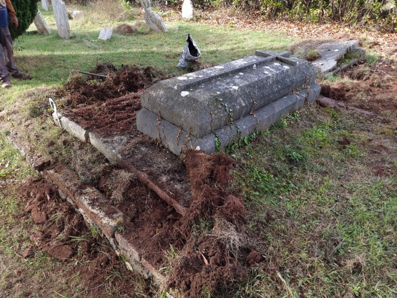 Sarah Lady Haggerston died 24th March 1883 rs