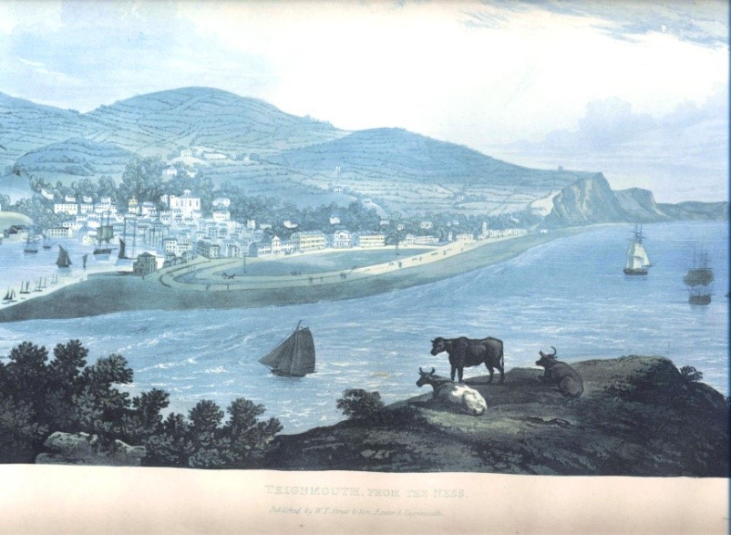 Strutt lithograph of early Teignmouth