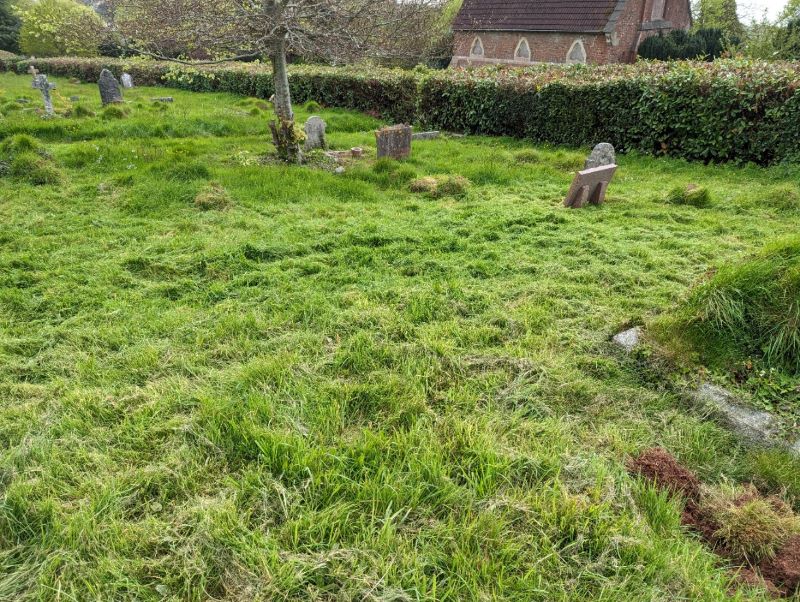 another strimmed area of grass rs